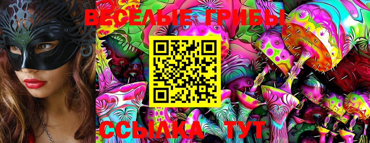 Псилоцибиновые грибы мицелий  Вход с VPN  Галлюциногенные грибы Psilocybe  закладка  Прохладный 
